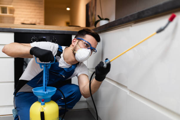 Best Insect Control  in Mount Carmel, IL
