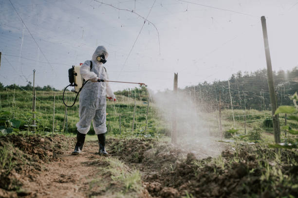 Best Best Pest Control Companies  in Mount Carmel, IL