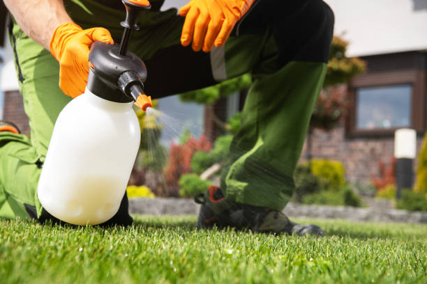 Flea Control Services in Mount Carmel, IL