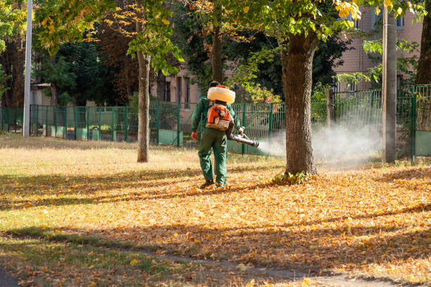 Best Rodent Control Near Me  in Mount Carmel, IL