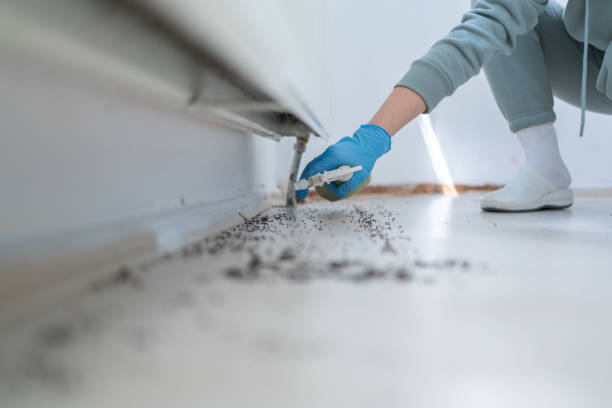 Trusted Mount Carmel, IL Pest Control Experts