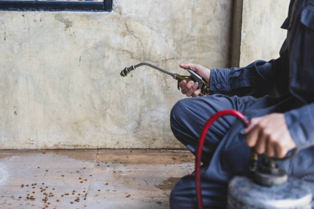 Best Best Pest Control Companies  in Mount Carmel, IL